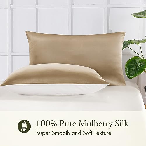 LILYSILK 1PC Silk Pillowcase for Hair and Skin, 19 Momme 100% Mulberry Silk with Cotton Underside, Soft Hypoallergenic Silk Bed Pillow Case with Hidden Zipper Bag Package(Standard 50x75cm, Taupe)