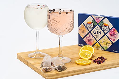 Gin Infusions Variety Gift Pack   Make Your Own Delicious Flavoured Gin   12 Delicious Infusion Bags for Gin Drinks