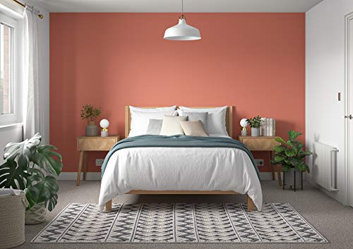 Dulux Simply Refresh Feature Wall Matt Emulsion Paint - Blood Orange - 30ML, Tester, 5569262