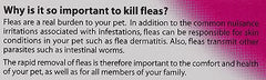 Johnsons 4Fleas Tablets for Cats and Kittens, 6 Treatment Pack, 14D083