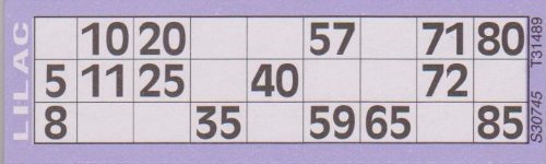 Jumbo Bingo Tickets pads 6 to view (Lilac)