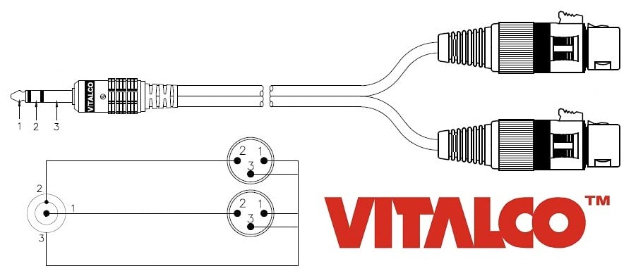 Vitalco 2x XLR Female to Stereo Jack Cable, Microphone Cable, 3-Pin Female to 6.3 mm TRS Jack Plug Adaptor, 1.5 m