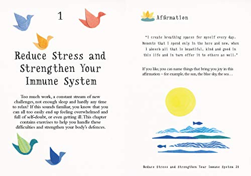 The Little Book of Meditation: 10 minutes a day to more relaxation, energy and creativity (The Little Book Series)