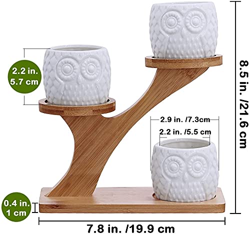 KPUY Owl Succulent Pots 3 Pcs with 3 Tier Bamboo Saucers Stand Holder, White Owl Succulent Plant Pots with Drainage and Bamboo Stand, Great for Office and Home Decor, Ideal for Gift.