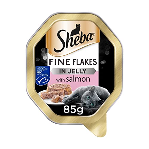 Sheba Fine Flakes Adult 1and Wet Cat Food Tray with Salmon in Jelly, 85g