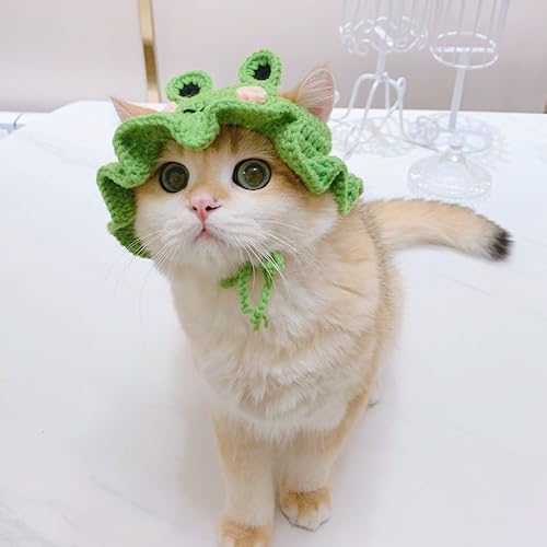 Zhouocea 1 PCS Cat Hat Cute Frog Shape Pet Cap Halloween Cat Kitten Halloween Costumes Cat Birthday Hat for Christmas Birthday