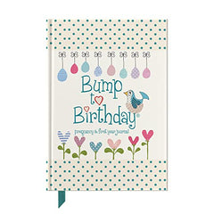 Bump To Birthday: Pregnancy & First Year Journal To Capture Memories Of the Growing Bump, the Birth & the New Baby (Pregnancy & Baby)