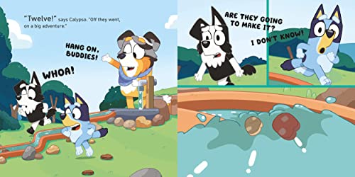 Bluey: Barky Boats