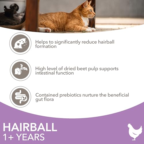 IAMS Hairball Complete Dry Cat Food for Adult and Senior Cats with Chicken 3 kg