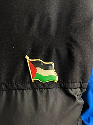 3/6/10PCS Palestine Palestinian Flag Pin Badge Lapel - Palestine National Enamel Badge Armband