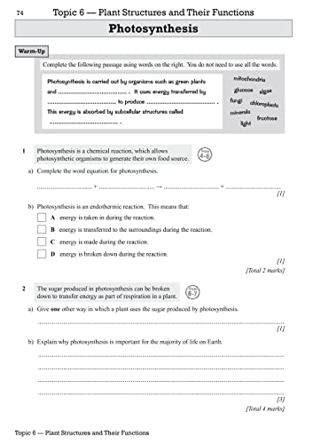 New GCSE Biology Edexcel Exam Practice Workbook (includes answers): for the 2024 and 2025 exams (CGP Edexcel GCSE Biology)