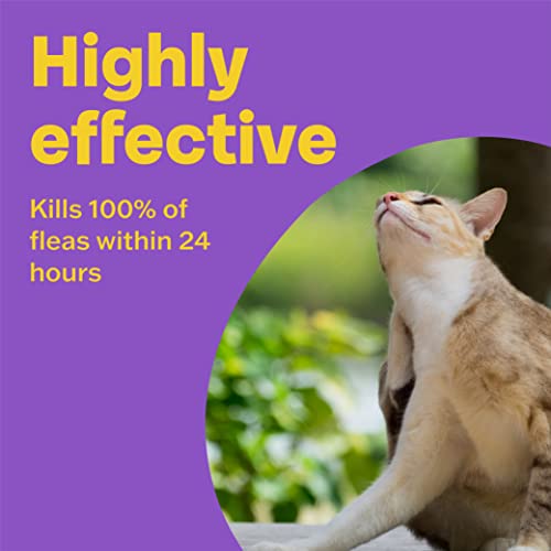 Bob Martin Clear Flea Treatment for Cats (3 Tablets) - Kills 100 Percent of Fleas within 24 Hours