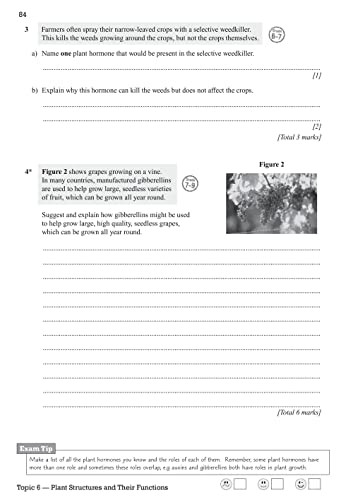 New GCSE Biology Edexcel Exam Practice Workbook (includes answers): for the 2024 and 2025 exams (CGP Edexcel GCSE Biology)