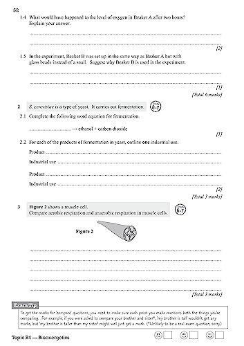 GCSE Combined Science AQA Exam Practice Workbook - Higher (includes answers): for the 2024 and 2025 exams (CGP AQA GCSE Combined Science)