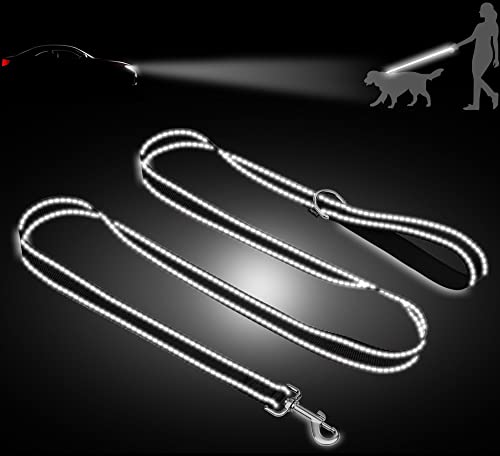 Taglory Dog Leads for Medium Large Dogs   Double Sided Reflective   Soft Neoprene Padded Handle   2.5cm Wide by 120cm Long   Black