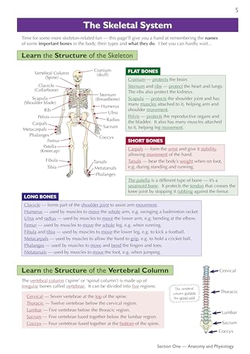 New GCSE Physical Education Edexcel Complete Revision & Practice (with Online Edition and Quizzes) (CGP Edexcel GCSE PE)