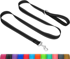 Taglory Dog Leads for Medium Large Dogs   Double Sided Reflective   Soft Neoprene Padded Handle   2.5cm Wide by 120cm Long   Black