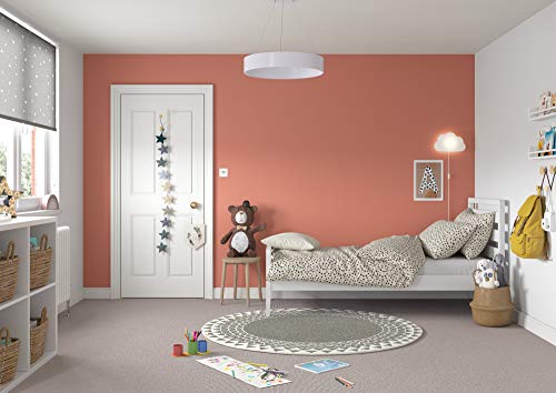 Dulux Simply Refresh Feature Wall Matt Emulsion Paint - Blood Orange - 30ML, Tester, 5569262