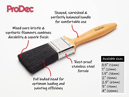 ProDec R641c 1 inch Craftsman Trade Professional Mixed Bristle Paint Brush for a Smooth Finish Painting with Emulsion, Gloss and Satin Paints on Walls, Ceilings, Wood and Metal, 1 inches 25mm, Black