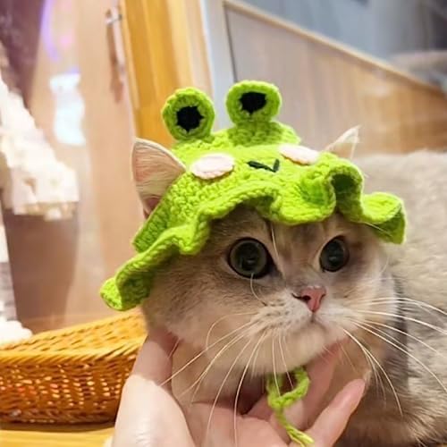 Zhouocea 1 PCS Cat Hat Cute Frog Shape Pet Cap Halloween Cat Kitten Halloween Costumes Cat Birthday Hat for Christmas Birthday