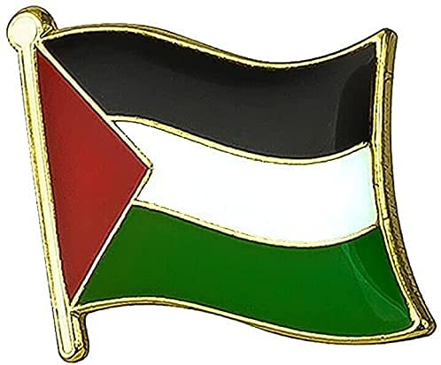 3/6/10PCS Palestine Palestinian Flag Pin Badge Lapel - Palestine National Enamel Badge Armband