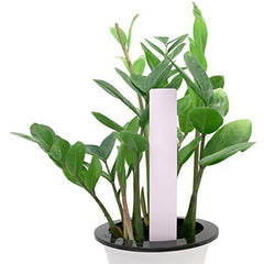 KINGLAKE 100Pcs 20x3cm Large Plant Labels and Pen for Outdoor Plants, White Plastic Garden Marker Waterproof Plant Name Tags for Vegetables, Herbs, Seeds, Seedling, Flowers