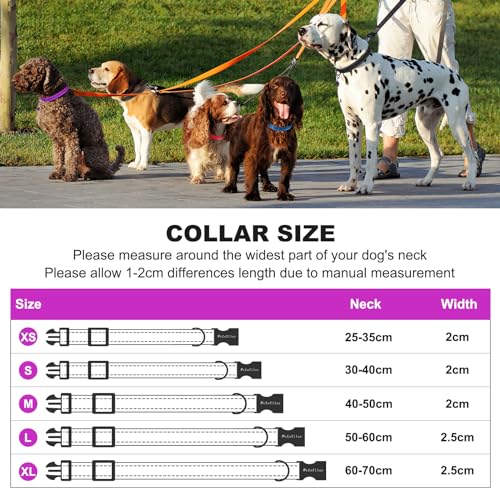 PcEoTllar Soft Dog Collar, Reflective Puppy Small Dog Collar, Nylon Neoprene Padded Dog Collar Medium, Adjustable Large Dog Collars with Tag, Basic Dog Collar, Purple-L