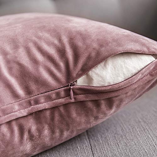 MIULEE Pack of 2 Velvet Soft Decorative Square Throw Pillow Case Flanges Cushion Covers Pillowcases for Livingroom Sofa Bedroom with Invisible Zipper 30cm x 50cm 12x20 Inch Set of Two Jam