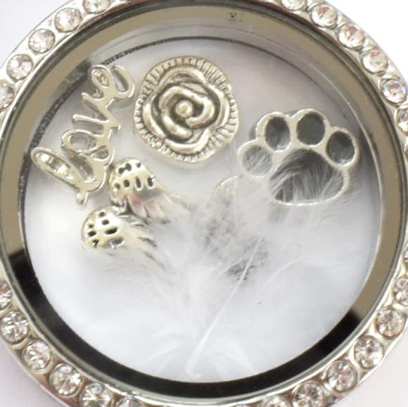 PAW Memorial Locket Keyring. In Memory of a Pet. Cat, Dog, Rabbit. Real White Feather Sympathy Gift. Angel Wing Mourning Keyring Key chain. Floating Locket