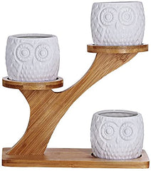 KPUY Owl Succulent Pots 3 Pcs with 3 Tier Bamboo Saucers Stand Holder, White Owl Succulent Plant Pots with Drainage and Bamboo Stand, Great for Office and Home Decor, Ideal for Gift.