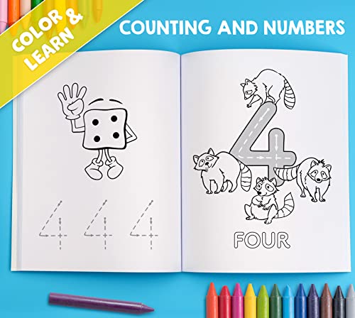 My Big Fun Coloring Book for Toddlers to Learn the Animals, Shapes, Colors, Numbers and Letters: Activity Workbook for Kids Ages 2-4 Years