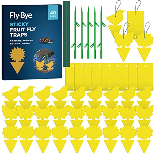 Fly-Bye - 40x Sticky Fruit Fly Traps - Fruit Fly Paper - Fruit Fly Papers Indoors - Fruit Fly Killer - Fungus Gnat Killer - Sticky Gnat Trap - No Poison/Odour or Mess - Value 40 pack