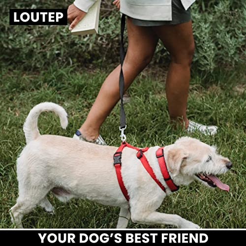 Loutep Training Lead for Dogs 3m 5m 10m 15m 20m 25m 30m Strong Nylon Rope Extra Long Line Dog Lead Leash with Padded Handle for Large Medium Small Puppy Recall Pet Walking Obedience Outdoor Play