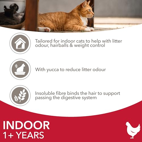 IAMS Indoor Complete Dry Cat Food for Adult and Senior Cats with Chicken 3 kg