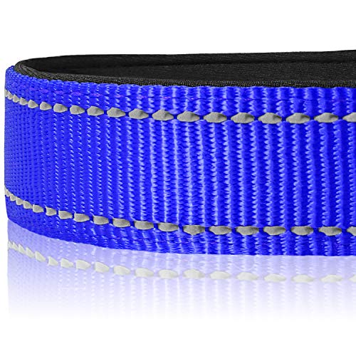 Joytale Dog Collar, Reflective Padded Neoprene Pet Collar, Adjustable Nylon Collars for Medium Dogs, M, Navy Blue