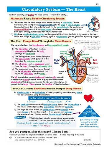 New GCSE Combined Science Edexcel Revision Guide - Higher includes Online Edition, Videos & Quizzes: for the 2024 and 2025 exams (CGP Edexcel GCSE Combined Science)