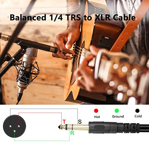 GELRHONR 1/4 Inch 6.35mm TRS Male to 2 XLR Balanced Interconnect Stereo Audio Cable,Dual XLR to 1/4inch (6.35mm) TRS Stereo Cable for Speaker Mic Guitar Mixer AMP-34cm