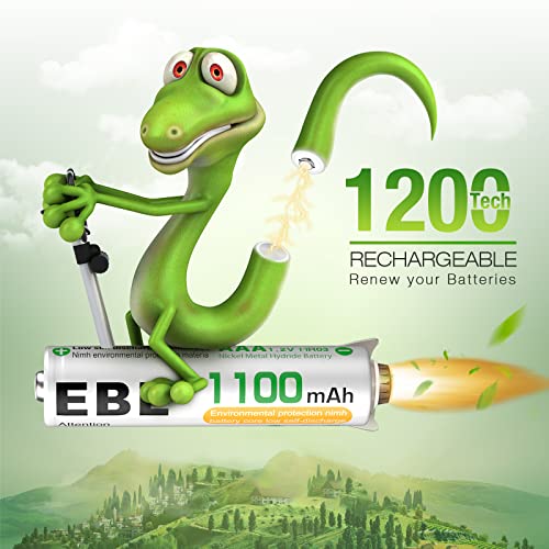 EBL Rechargeable AAA Batteries 1100mAh (16-Counts) High Capacity Performance Ni-MH AAA Batteries with Two Storage Cases