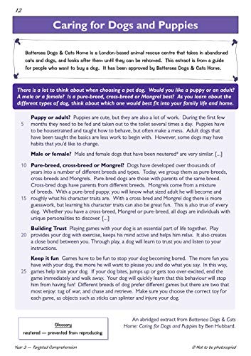 KS2 English Year 3 Reading Comprehension Targeted Question Book - Book 2 (with Answers) (CGP Year 3 English)