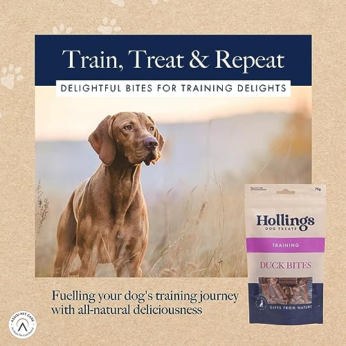 Hollings Duck Bites Dog Training Treats, Delicious Duck Treats for Adult Dogs, High in Protein & Made with 100% Natural Ingredients (75g)