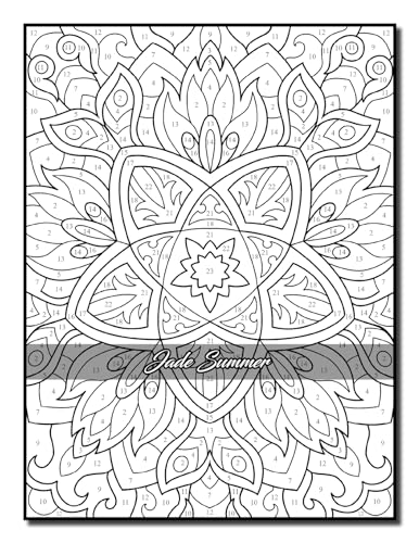 Color by Number Patterns: An Adult Coloring Book with Fun, Easy, and Relaxing Coloring Pages (Color by Number Coloring Books)