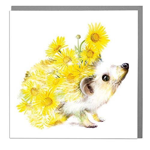 Lola Design - Wildlife Botanical Greeting Cards - Blank Cards and Envelopes - Hedgehog Animal Card