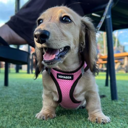 Best Pet Supplies Voyager Step-in Air Dog Harness - All Weather Mesh Step in Vest Harness for Small and Medium Dogs by - Harness (Pink/Black Trim), XX-Small