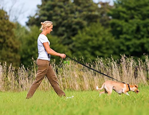 Taglory Dog Leads for Medium Large Dogs   Double Sided Reflective   Soft Neoprene Padded Handle   2.5cm Wide by 120cm Long   Black