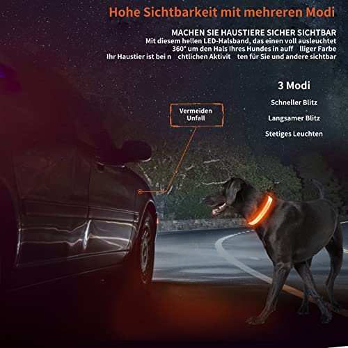 KOSKILL Light Up Dog Collar, Led Dog Collar Usb Rechargeable Waterproof, Flashing Dog Collars For Dark, Illuminated Dog Collars, Glowing In The Dark Dog Collar Lights For Dogs Night Walking Orange M