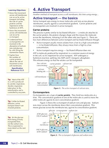 A-Level Biology for AQA: Year 1 & 2 Student Book with Online Edition: course companion for the 2024 and 2025 exams (CGP AQA A-Level Biology)