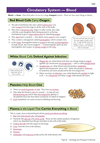 New GCSE Biology Edexcel Complete Revision & Practice includes Online Edition, Videos & Quizzes: for the 2024 and 2025 exams (CGP Edexcel GCSE Biology)