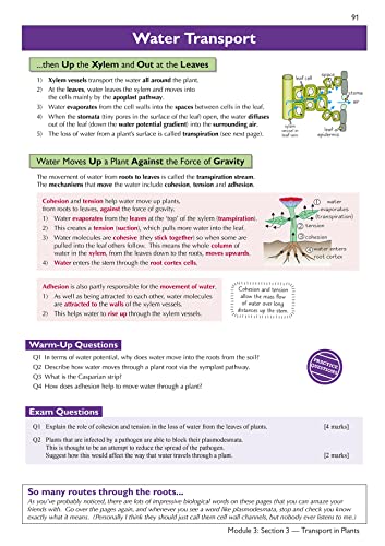 A-Level Biology: OCR A Year 1 & 2 Complete Revision & Practice w/Online Edition (For exams in 2024) (CGP OCR A A-Level Biology)