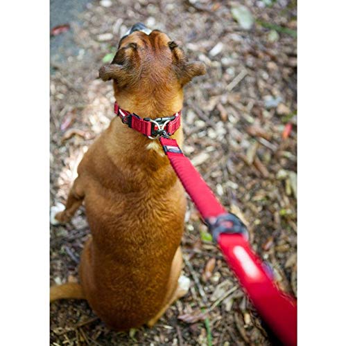 EZYDOG Double Up Dog Collar   Dog Collar Small, Medium, Large Dogs, Reflective Dog Collar, Supreme Comfort, Soft Neoprene Material, Strong Nylon Webbing (Large, Camo)