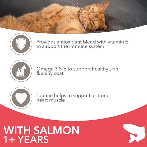 IAMS Adult Dry Cat Food Salmon 3kg